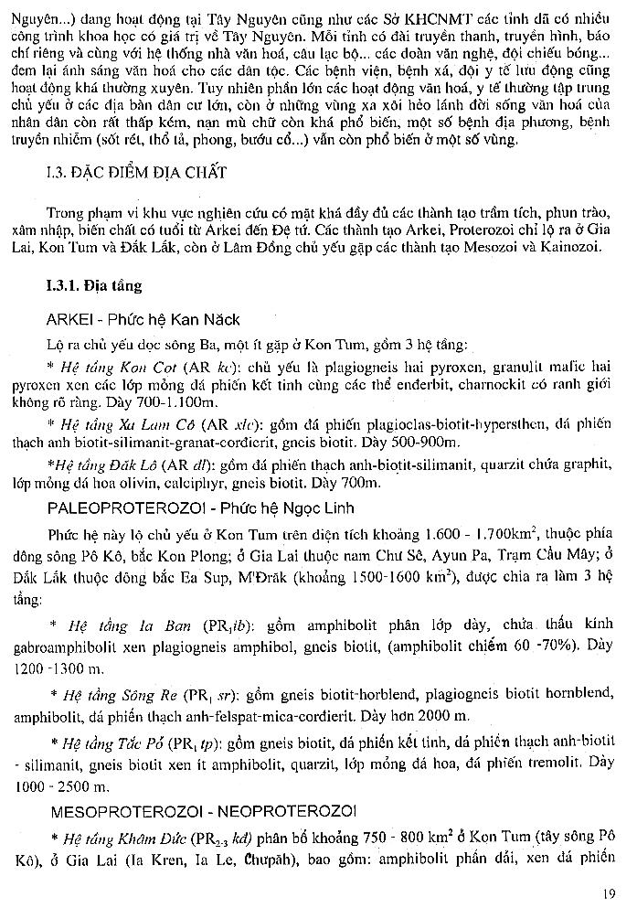 Trang số 19