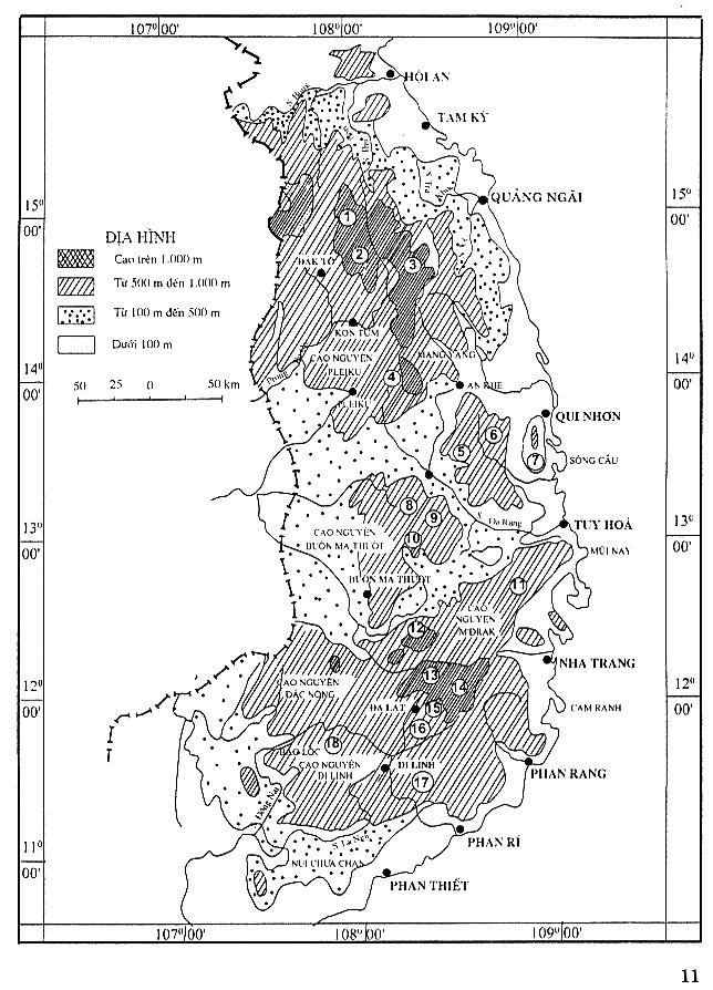 Trang số 11
